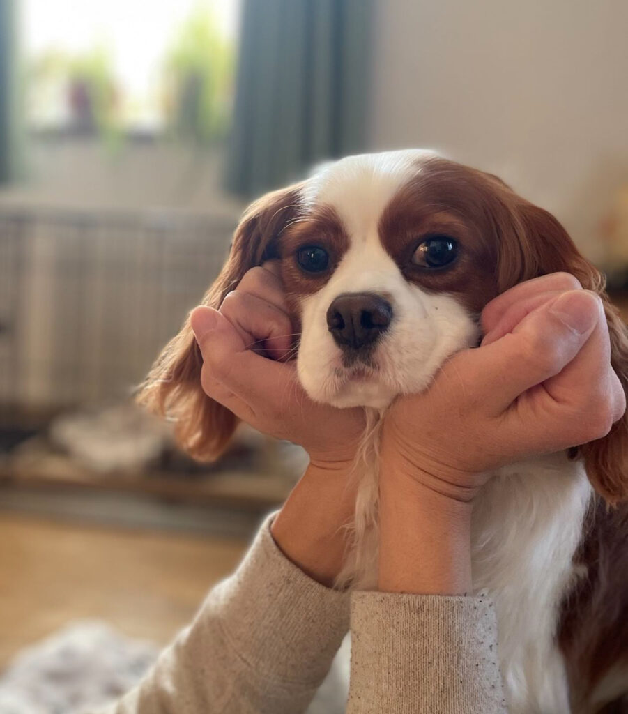 Barbara Testimonial (1)