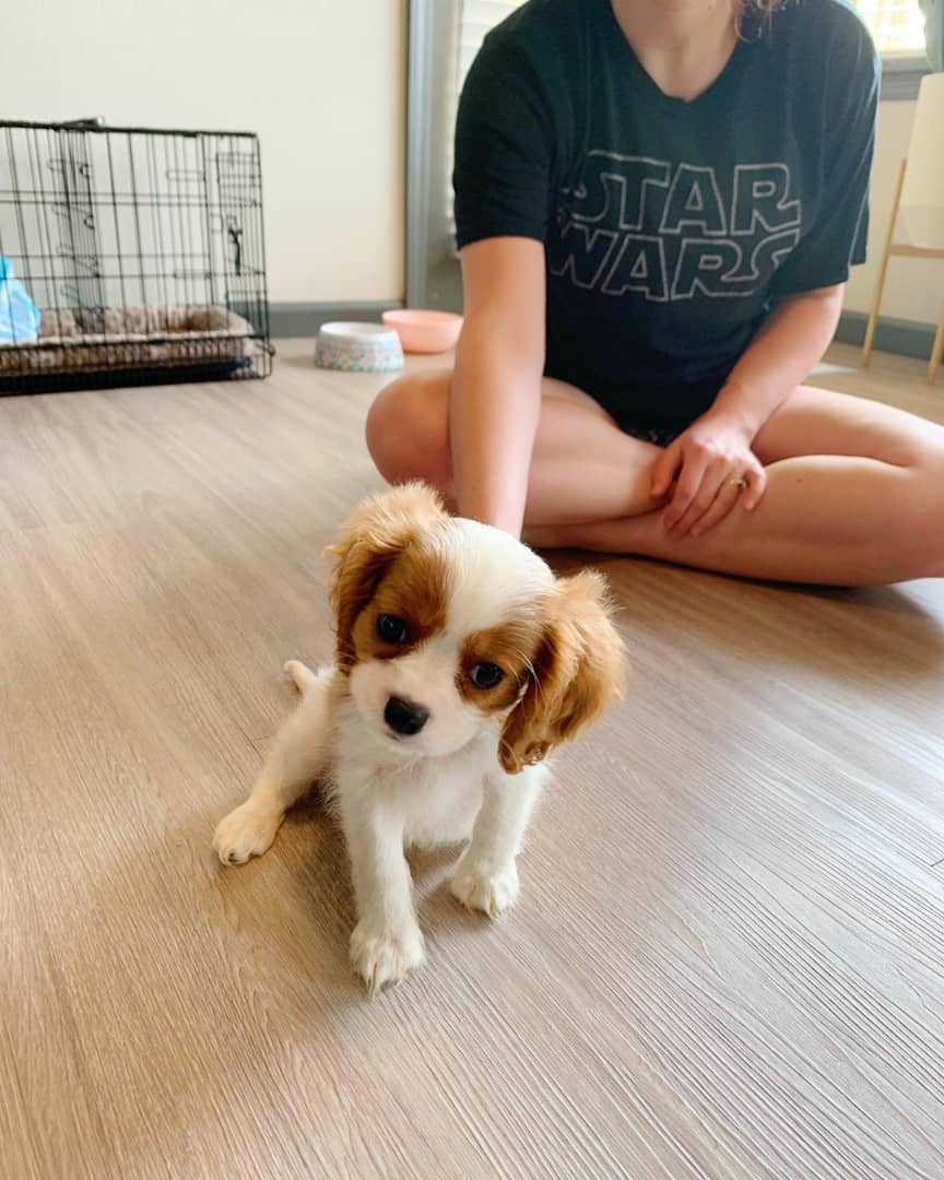 Luna Female - Image 2